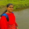 Reviewer Profile