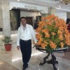 Reviewer Profile