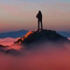Reviewer Profile