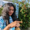 Reviewer Profile