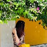 Reviewer Profile