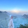 Reviewer Profile