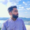 Reviewer Profile