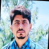 Reviewer Profile