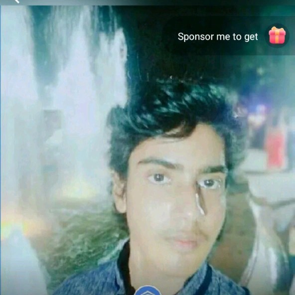 Reviewer Profile