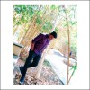 Reviewer Profile